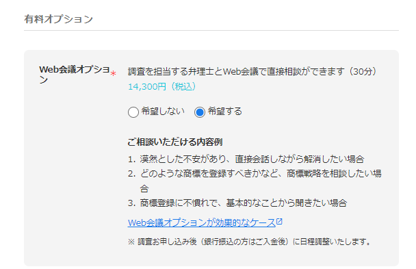 有料オプション.png